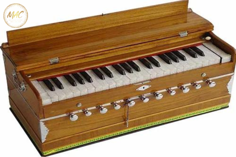 Top Reasons to Join Harmonium Classes in Chandigarh