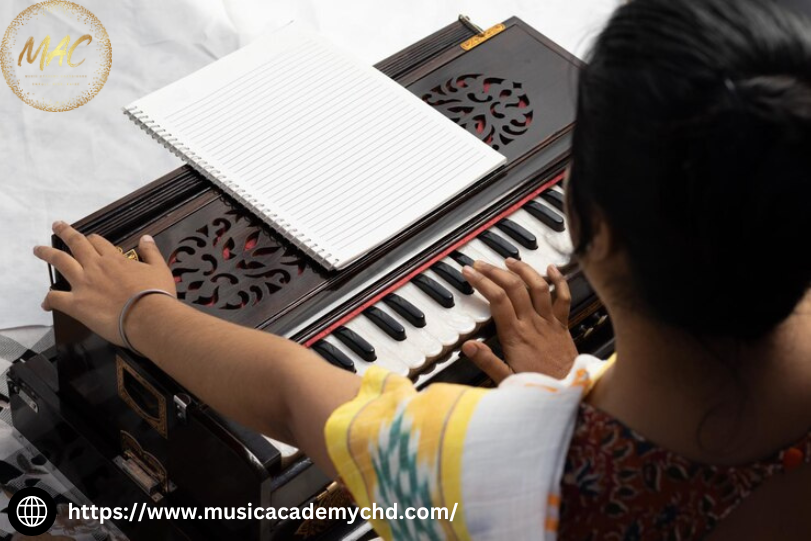 How Long Does It Take to Learn the Harmonium?